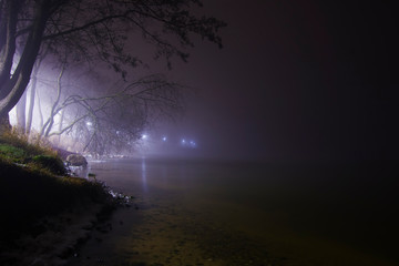 Night lake lights lanterns in the mist trees crowns ice winter landscape