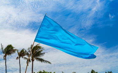 The blue flag is flying against the blue sky and palm trees