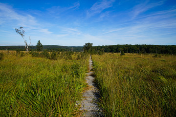 Fototapeta premium High fens Belgium hiking