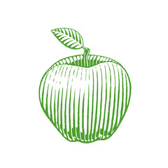 Green Ink Sketch of Apple Illustration