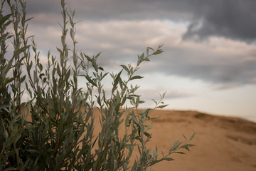 Kazan is the Russian city