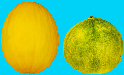 Limelone und Honigmelone