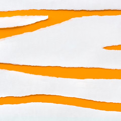 Torn stripes of white paper on orange colored paper, square back