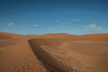 namibian desert