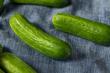 Raw Green Organic Mini Cocktail Cucumbers