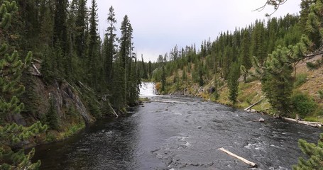 Yellowstone Lewis Falls river and forest beautiful. Geothermal ecosystem landscape environment. Biology geography and ecology. Millions of tourist and visitors each year.