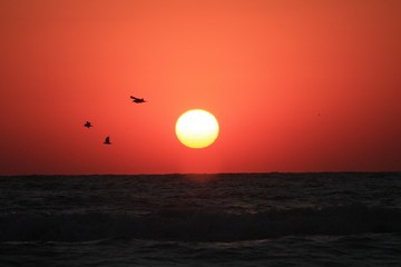 a sunrise at the seashore in red colors