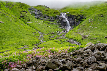 moss on the rocks and waterfall