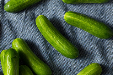 Raw Green Organic Mini Cocktail Cucumbers