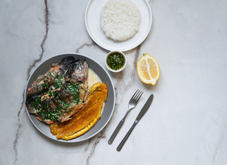 Colombian and Mexican, Venezuela food - trucha al ajillo -  river trout, served with a large,fried plantain, patacon and garlic sauce