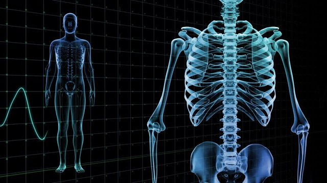 Human Body Skeleton Medical DNA Science Technology image background