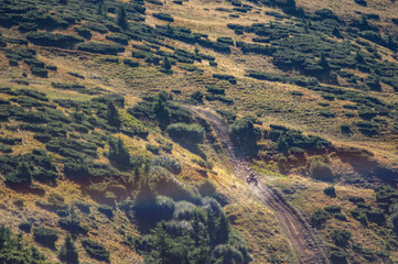 Fototapeta premium Summer road in the mountains