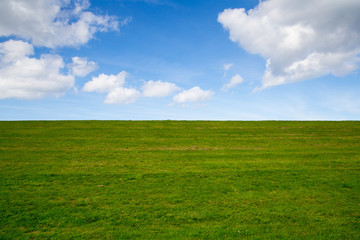 Obraz premium green field and blue sky