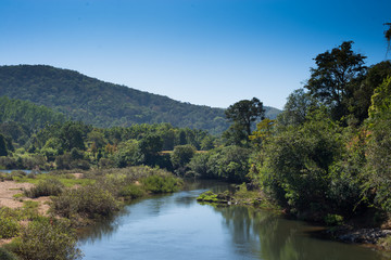 river in the rain forest