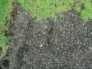 Closeup of the road and green grass