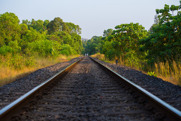 Fototapeta premium railway tracks in the forest