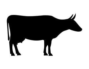 Silhouette cow on white background. Vector icon.
