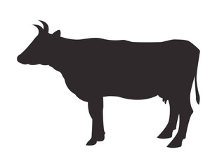 Silhouette cow on white background. Vector icon.