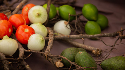  Tomato and Lemon Onion Still Life