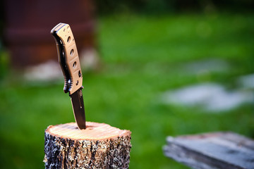 Folding knife on a stump on a background of grass