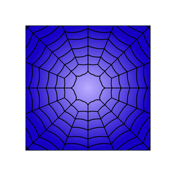 Vector illustration of spiders web