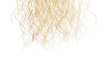 Wet blond hair isolated on white background