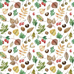 Watercolor autumn pattern of tree seeds, nuts, oak, birch, poplar, and ash leaves, hawthorn berries.