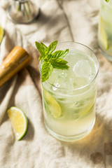 Sweet Mint Rum Mojito