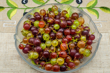 Red and green gooseberries. Close up view of the organic gooseberry