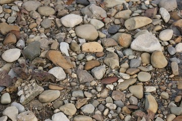 Rocks