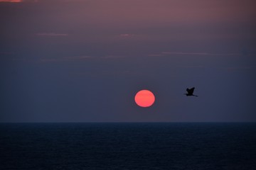 sunrise at the Black Sea