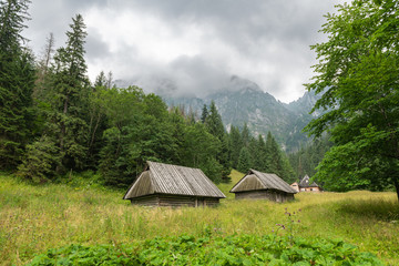 Fototapeta na wymiar Strążyska Valley, Tatra National Park in Poland