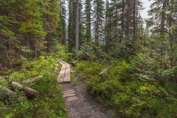 Emerald Lake Hiking Trail in Yoho National Park, Canada