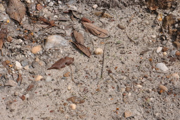 Texture - ground floor