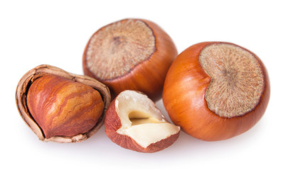Hazelnut on white background