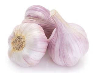 Fresh garlic on white background