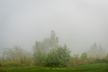 Obraz premium Foggy day by the St-Laurent river, golf field 