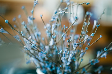 blue flowers in vase