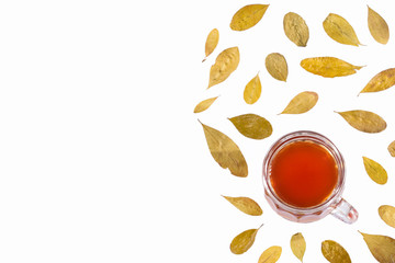 Erythroxylum coca - Coca leaf infusion