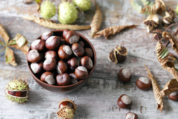 Chestnuts. Buckeyes. Autumn mood. Leaves of a chestnut tree.