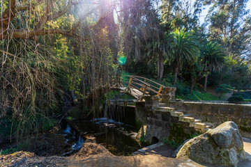 A wooden Bridge at the Botanical gardens of Viña del Mar, Chile.