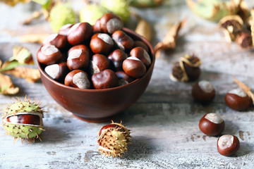 Chestnuts. Buckeyes. Autumn mood. Leaves of a chestnut tree.