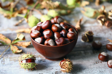 Chestnuts. Buckeyes. Autumn mood. Leaves of a chestnut tree.