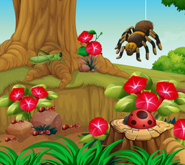 Background scene with insects in the garden