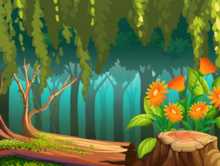 Nature scene with flowers in forest