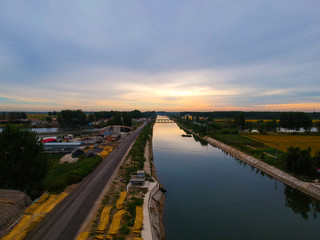 Mature rice in the field