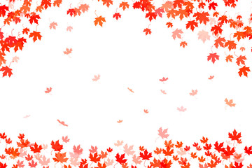 Fototapeta na wymiar Multi colored autumn leaves background