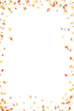 Multi colored autumn leaves on white background