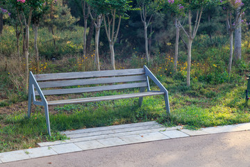 A bench in the park lawn