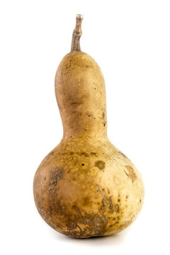 Bule or mexican gourd for ornament